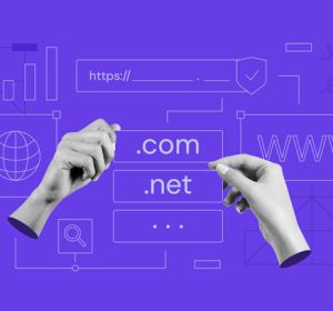 Domain név bérlés éves díja